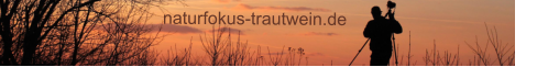 naturfokus-trautwein.de